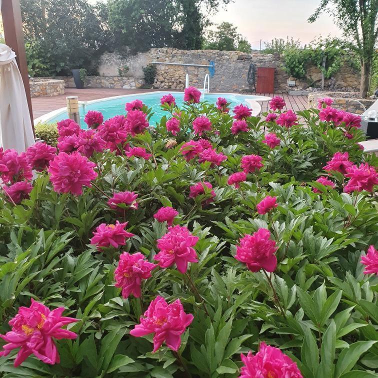 Nonette La Maison De Roussi מראה חיצוני תמונה